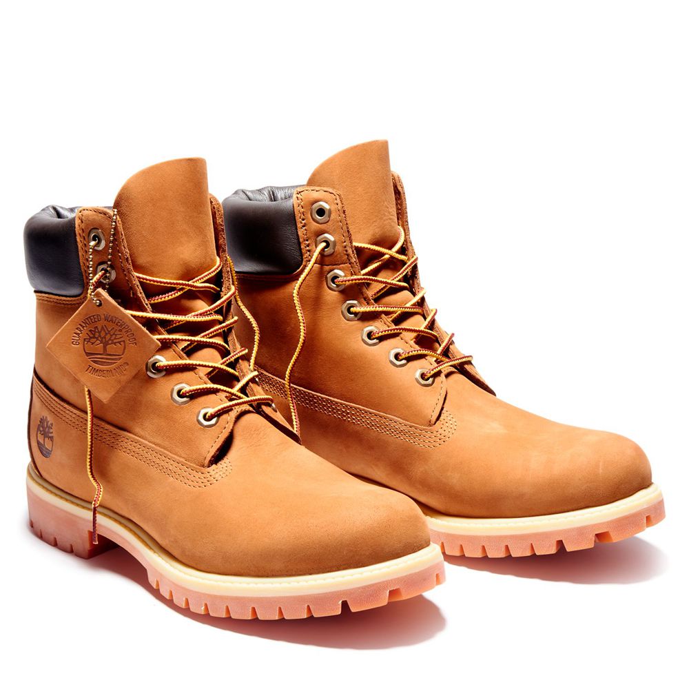 Bocanci De Zapada Timberland Barbati Maro - 6-Inch Premium Waterproof - Romania - JYKMSB075